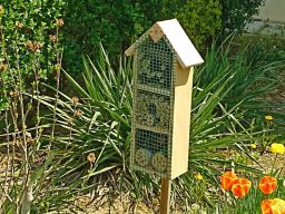 Rok szkolny 2024-2025 - 085 - Dbamy o naszą okolicę